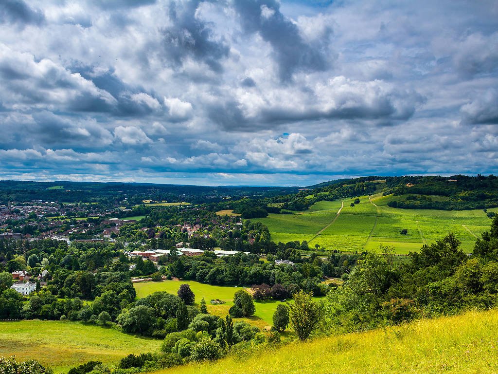 Box Hill Trip