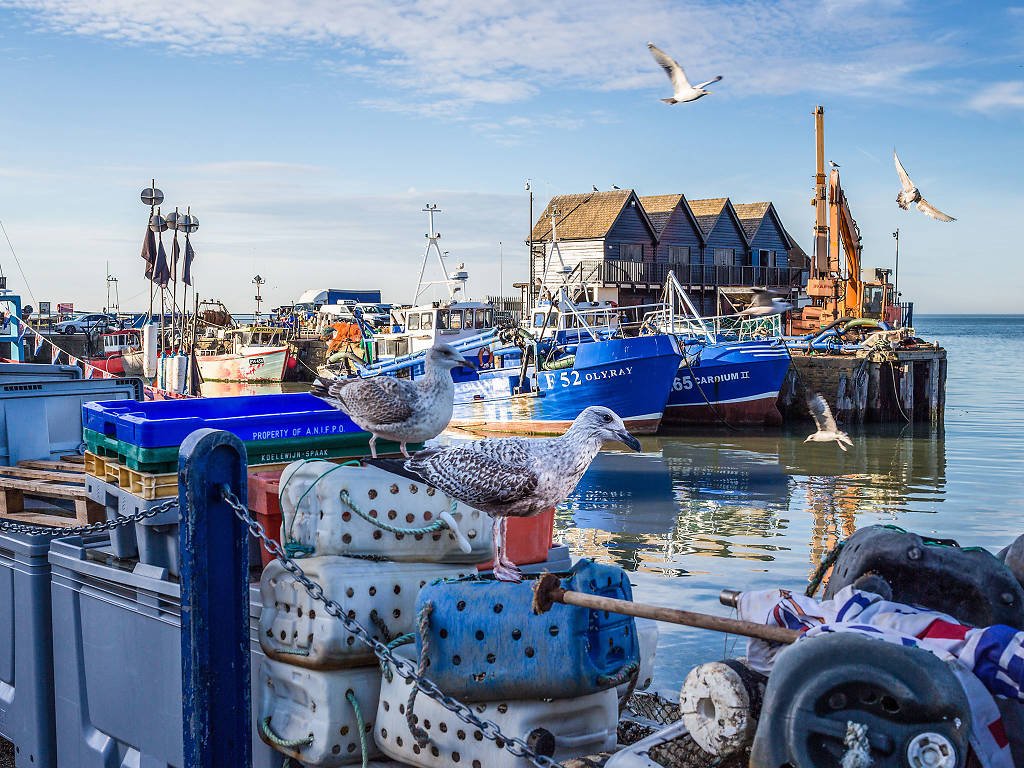 Whitstable Trip