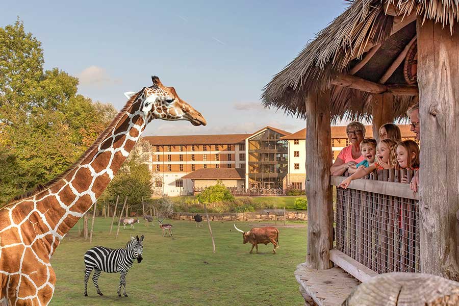 A Trip to Chessington Zoo from London