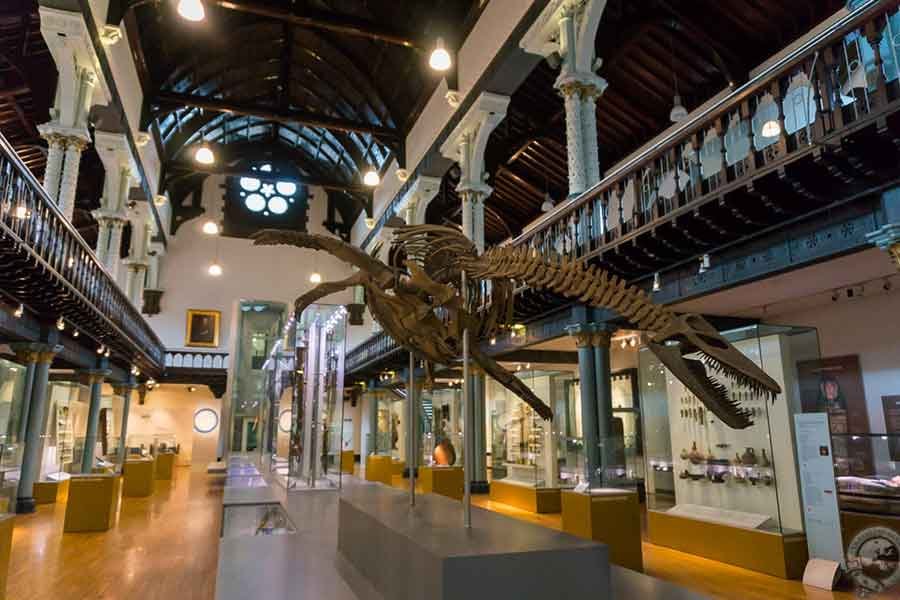 London-to-The-Hunterian-Museum
